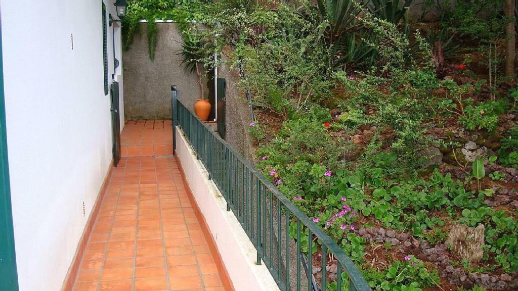 Apartment Charmoso No Funchal, Com Grande Jardim E Vista Esplendida
