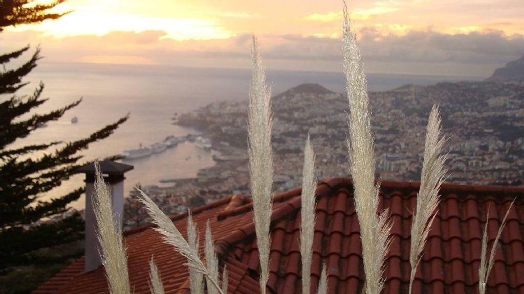 Charmoso No Funchal, Com Grande Jardim E Vista Esplendida *